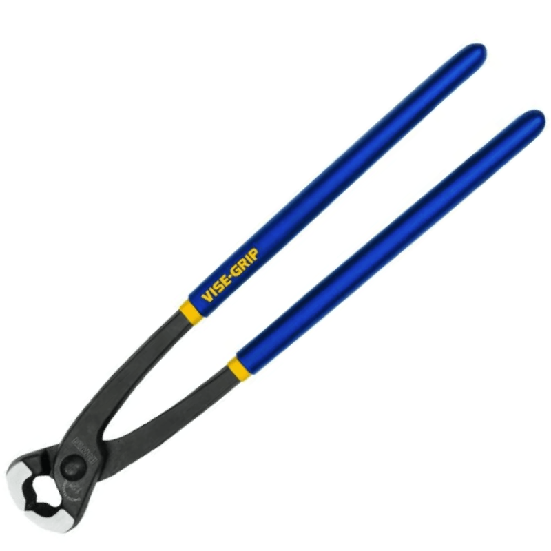 Visualizado: 0